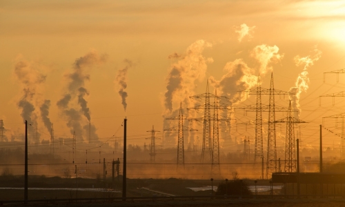 Climate Crisis During the COVID-19 Pandemic
