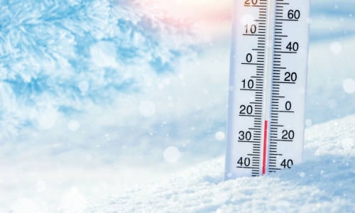 Developing Workplace Winter Weather Emergency Action Plans