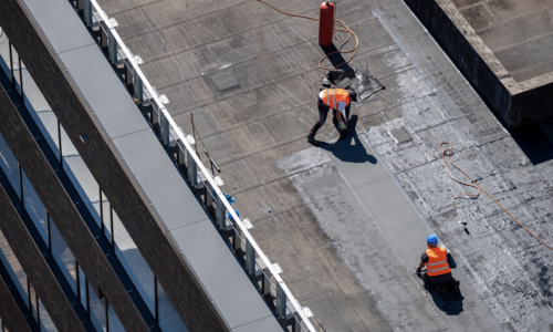 Why Environmental Risk Assessments Matter for Businesses