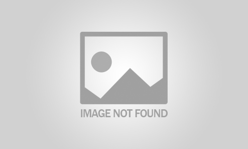 National Ladder Safety Month: Climbing with Confidence